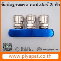 คอปเปอร์ 3 หัว